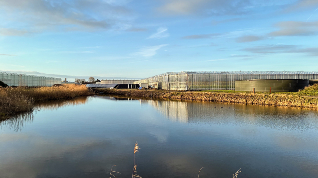 Installatie compactstation Van Geest Komkommers Tinte